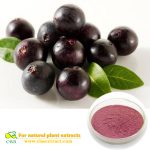 100% Natural Organic Acai Berry Extract Powder