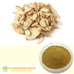 Anti-aging Astragalus Root Extract 98% Cycloastragenol