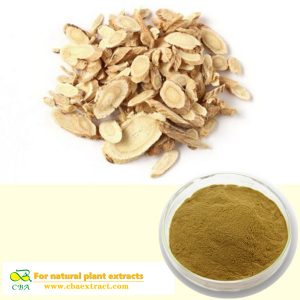 Astragalus Root Extract Anti-aging Astragalus Root Extract 98% Cycloastragenol