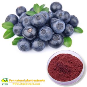 CBA Factory Competitive Bilberry Extract