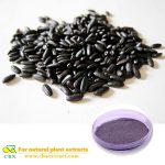 Black rice powder Oryza satiua Anthocyanidins Anthocyanin