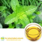 2021 CBA Pure Peppermint Essential Oil Mint Oil for Massage