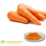 Carrot powder vegetables extract