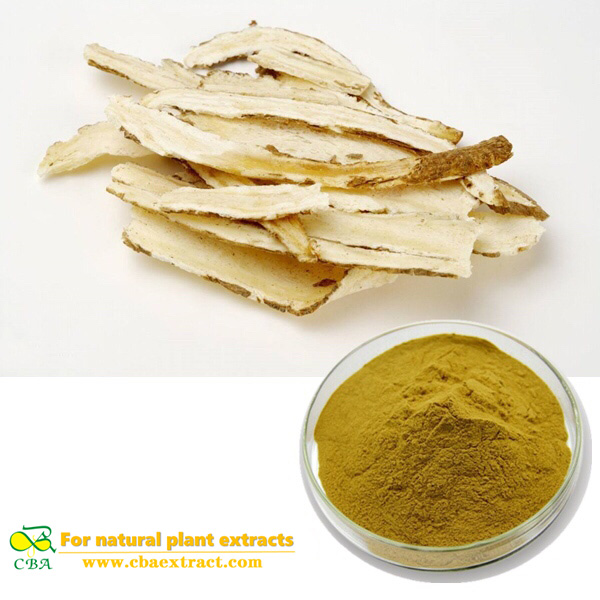 Natural Chinese Angelica Extrat (EAS)1% Ligustilide
