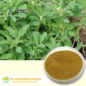 FENUGREEK SEED EXTRACT Pure natural plant extracts fenugreek seed p.e supplier testosterone powder