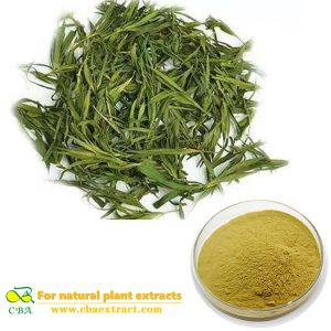 Herbal Extract Bamboo Leaf Extract Common Lophatherum Herb extract