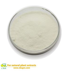 Competitive Price Food Additive -Rice protein