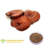 Natural pure ganoderma lucidum extract polysaccharide high quality reishi mushroom extract powder