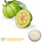Organic Garcinia Cambogia Extract Weight Loss Hydroxycitric Acid Plant Extract HCA from wholesale factory