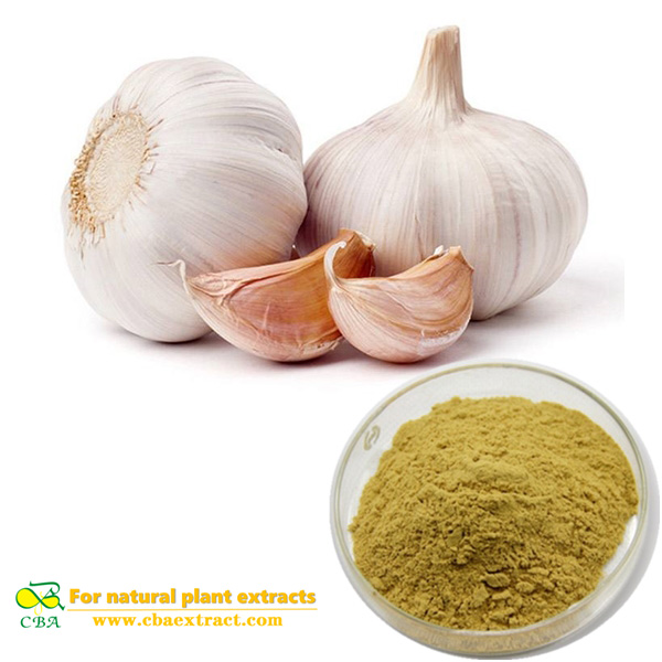 natural garlic extract