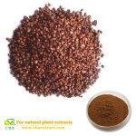 Water Soluble Black Grape Seed Extract