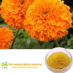 Food pigment Herbal Marigold Flower Extract Lutein Esters