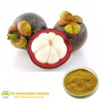 Mangosteen Plant Extract mangosteen fruit powder 10%-40% Mangostin as cosmetics materials food additives and health care