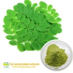 Factory Moringa leaf powder buyers with best price