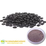 Herbal Extract Black Bean Anthocyanin 5% – 25% Black Bean Hull Extract Black soybean powder extract