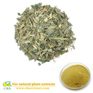 Natural Plant Extract Bamboo Leaf Flavonoids, Herbal Extract
