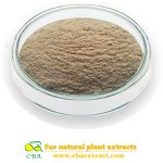 Oat Extract Beta Glucan/Oat Straw Extract/ Avena Sativa Extract