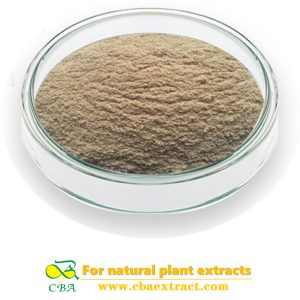Oat Extract Beta GlucanOat Straw Extract Avena Sativa Extract