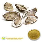 100% Natural Oyster Extract Powder