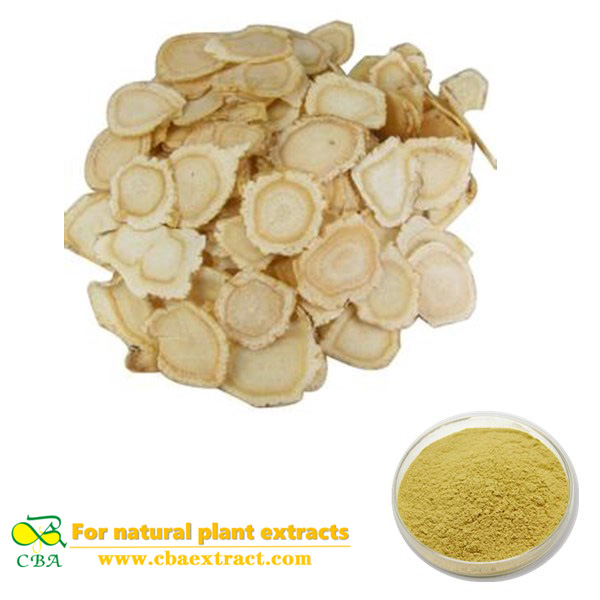AMERICAN GINSENG EXTRACT Natural pure angelica sinensis root extract