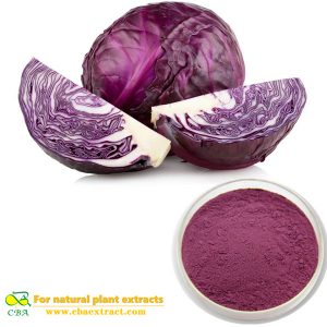 Purple cabbage powder