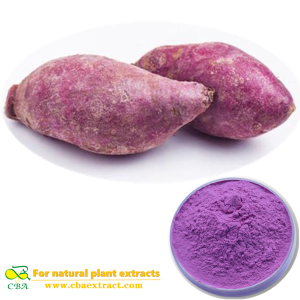 Purple potato Powder