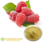 Chiết xuất mâm xôi tự nhiên -raspberry ketone để giảm cân Rubus Chingii Hu Raspberry ketone