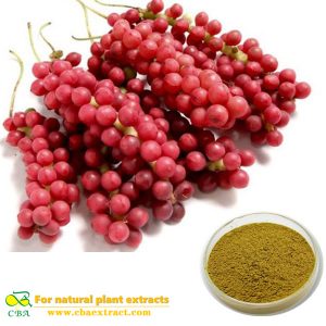Schisandra Chinensis Extract premium quality Schisandra fruit extract Schisandra chinensis (Turcz.) Bailll  