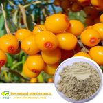 Seabuckthorn Fruit Extract Chinese herbal seabuckthorn extract powder for anti-aging