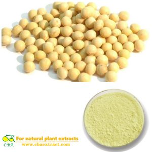 Soybean Extract Phosphatidylserine soybean isoflavones soybean extract powder