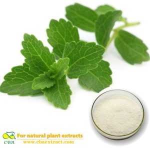 High quality stevia extract