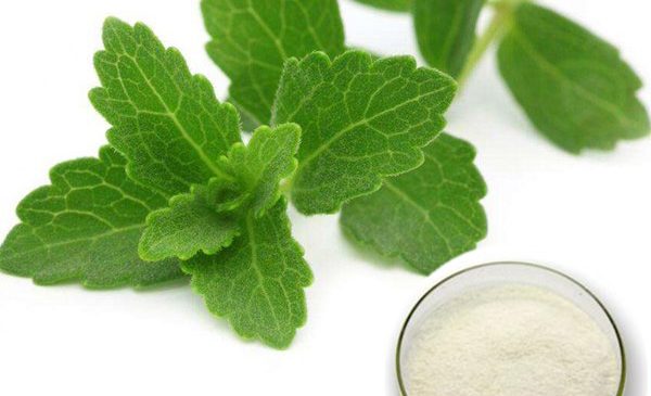 CBA 2021 Extracto de stevia de alta calidad
