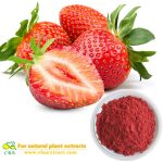 Strawberry fruit extract powder Strawberry powder juice and drinks materials