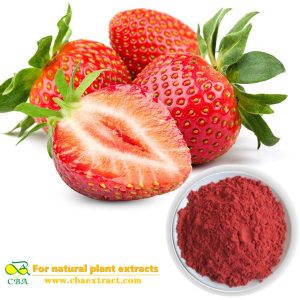 Strawberry fruit extract powder
