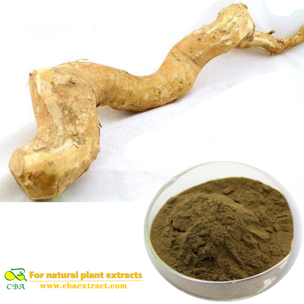 Tongkat Ali Root Extract Supply High Quality Eurycoma Longifolia Jack Root Extract PowderTongkat Ali Herbal ExtractTongkat Ali P.E.
