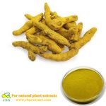 Organic Food Additive Turmeric root extract powder 95% curcumin
