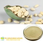 Weight loss product White Kidney Bean Extract Phaseolin,5:1,10:1,20:1 Phaseolus Vulgaris Bean Extract