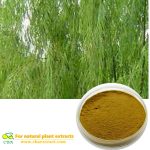 White Willow Bark Extract Salicin Powder Salix Alba L.