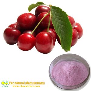 Organic Acerola Cherry extract Powder