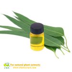 cosmetics grade natural eucalyptus organic wholesale essential oil