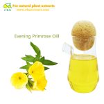 Wholesale Evening primrose organic pure essential oil evening primrose plant extract oil