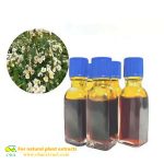 Factory Direct Sale Natural 98% Wild Rose Essential Oil Plant Extracts